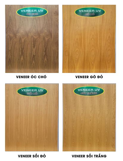 Veneer-uv-trang-1