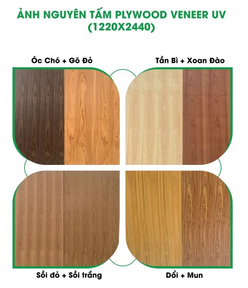 Veneer-uv-trang-3